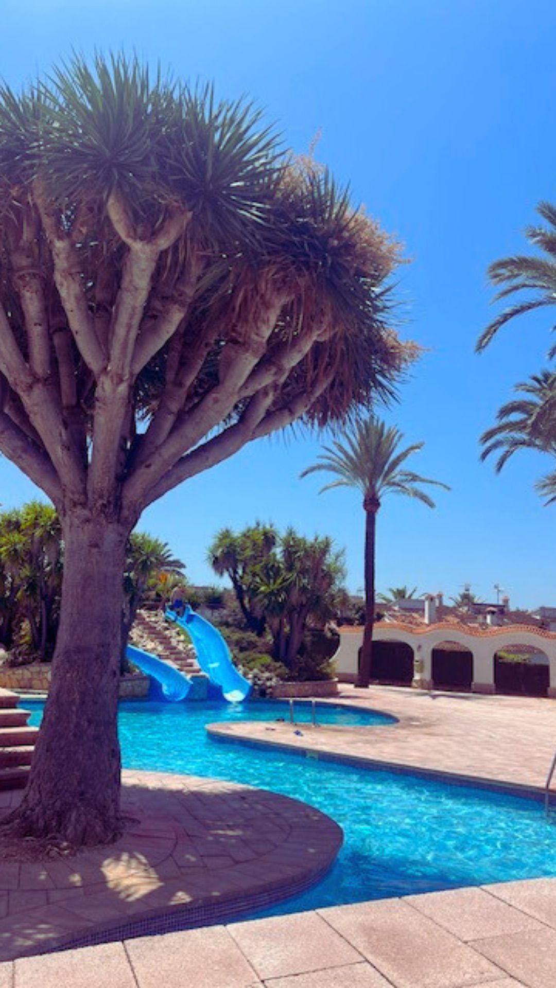 Apartment in vendita a Denia, Alicante